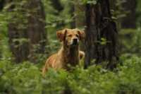 mg_9652-58