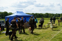 comp_dsc00011