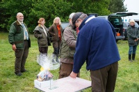 comp_dsc00037
