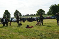 comp_dsc00053