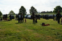 comp_dsc00055