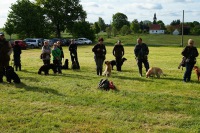 comp_dsc00076
