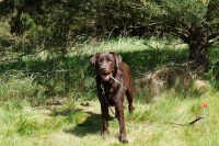 comp_dsc00080