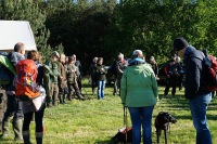 comp_dsc09945