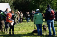 comp_dsc09947