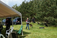 comp_dsc09955