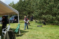 comp_dsc09956