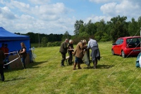 comp_dsc09960