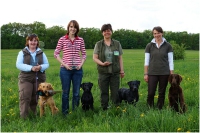 comp_dwt_sieger_a-klasse