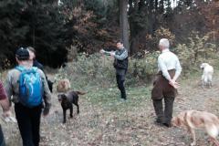 Herbstwanderung 2013