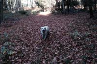 k1024_2013-10-27-13.54.31