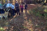 k1024_2013-10-27-13.58.44
