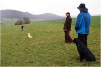 comp_drc_jh_03.14_03