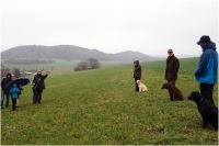comp_drc_jh_03.14_06