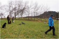 comp_drc_jh_03.14_26