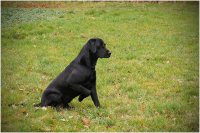 comp_drc_jh_03.14_31
