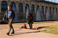 comp_junghunde_03.14_04
