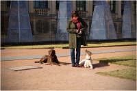 comp_junghunde_03.14_06