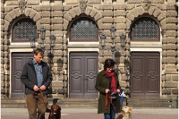 comp_junghunde_03.14_18