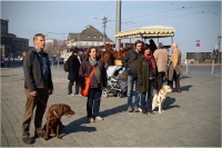 comp_junghunde_03.14_22