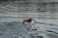 k1024_dsc00786