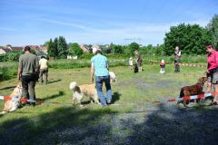 Ring- und Trimmseminar 