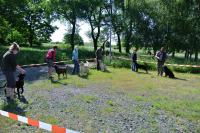 ring-und-trimmtraining-2014-006