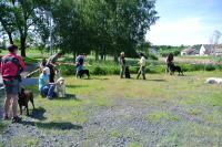 ring-und-trimmtraining-2014-012