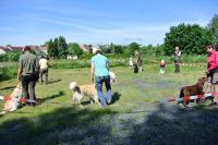 ring-und-trimmtraining-2014-015