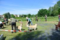 ring-und-trimmtraining-2014-017