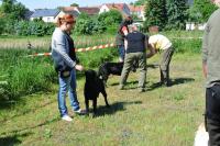 ring-und-trimmtraining-2014-018