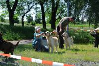 ring-und-trimmtraining-2014-021