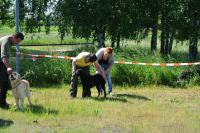 ring-und-trimmtraining-2014-022