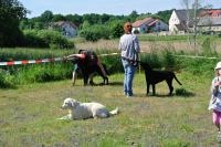 ring-und-trimmtraining-2014-024