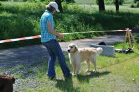 ring-und-trimmtraining-2014-029
