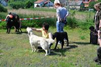 ring-und-trimmtraining-2014-032