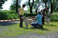 ring-und-trimmtraining-2014-042