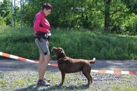 ring-und-trimmtraining-2014-049