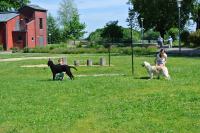 ring-und-trimmtraining-2014-058