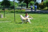 ring-und-trimmtraining-2014-059