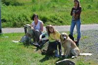 ring-und-trimmtraining-2014-060
