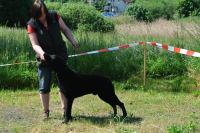 ring-und-trimmtraining-2014-062
