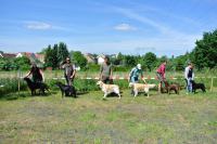 ring-und-trimmtraining-2014-067