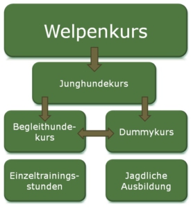 ausbildung grafik